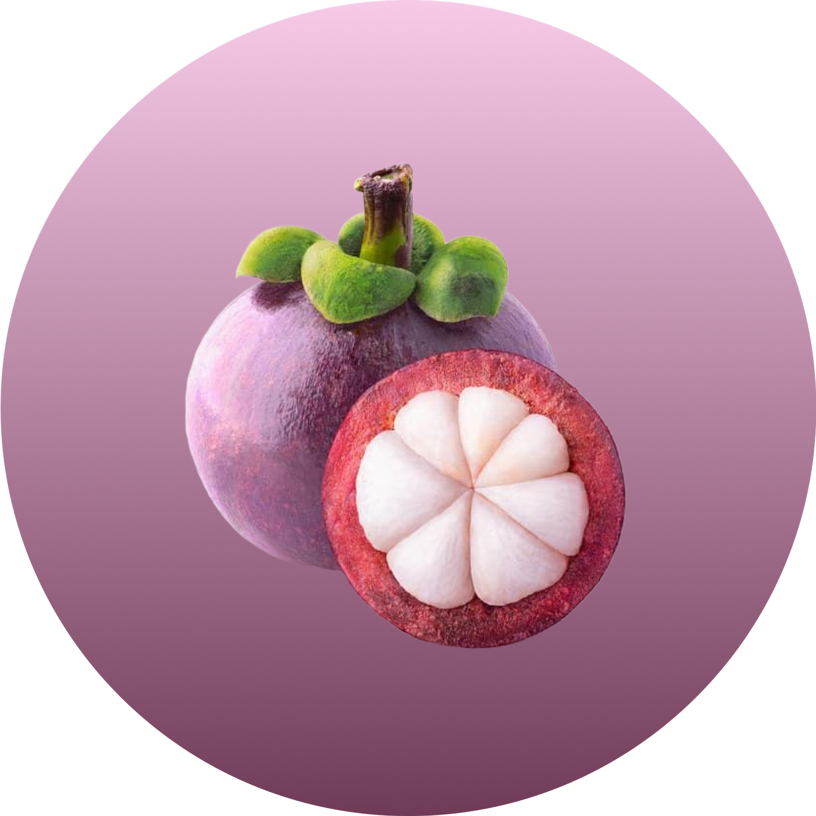 Mangosteen