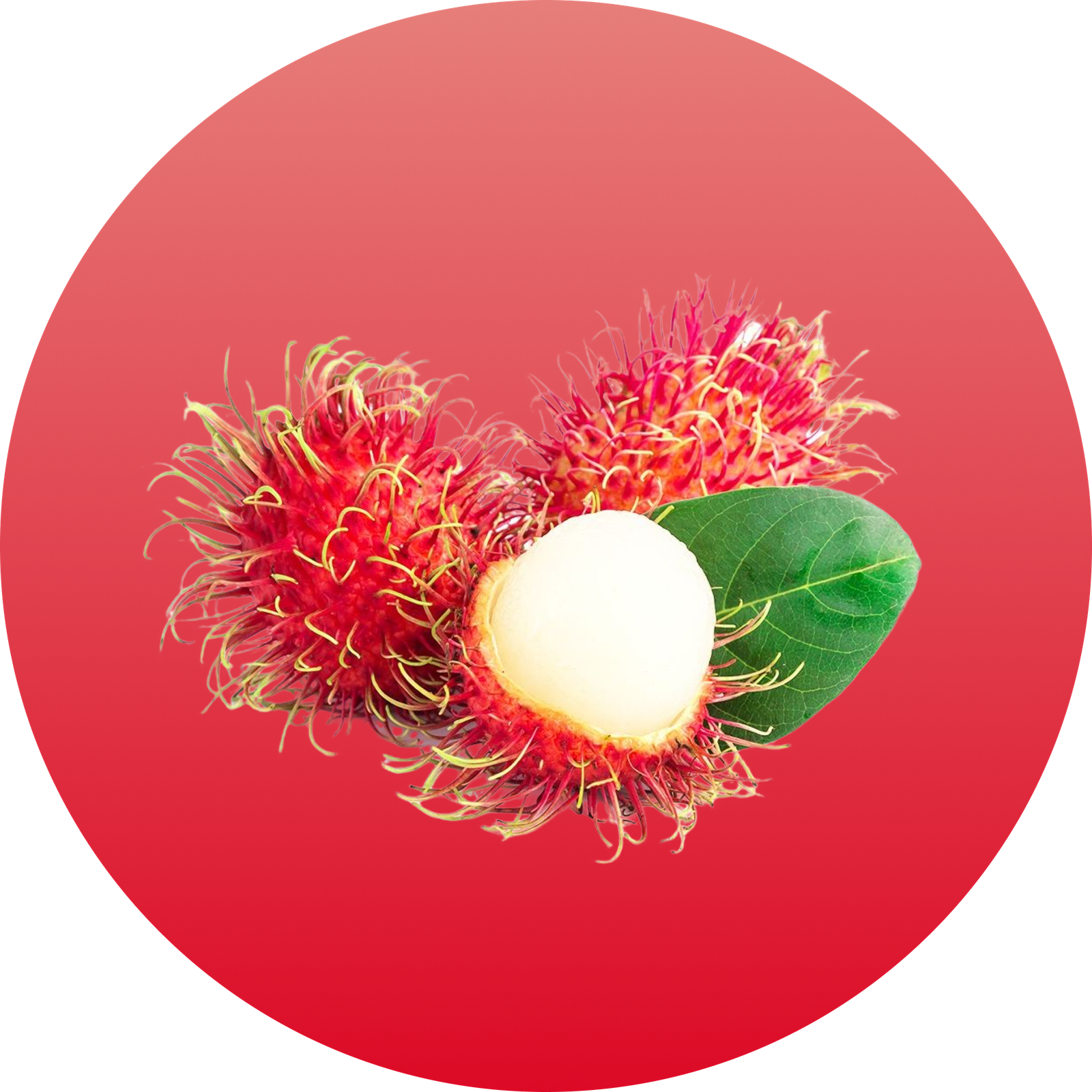 Rambutan